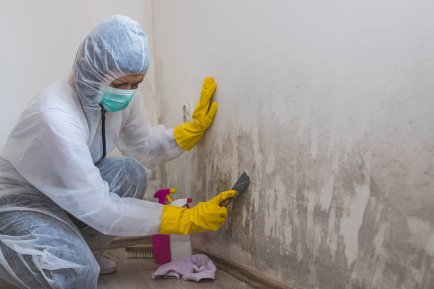 Best Certified Mold Removal  in Parlier, CA