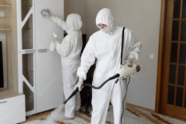 Professional Mold Removal in Parlier, CA