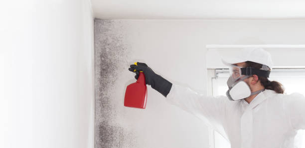 Best Mold Cleaning Services  in Parlier, CA
