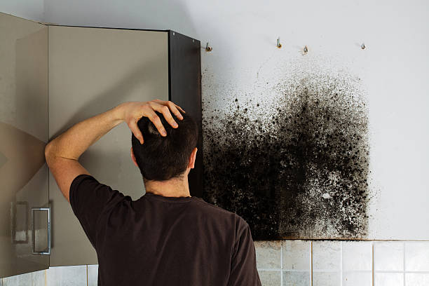 Best Attic Mold Removal  in Parlier, CA
